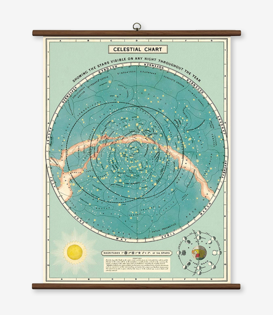 school chart