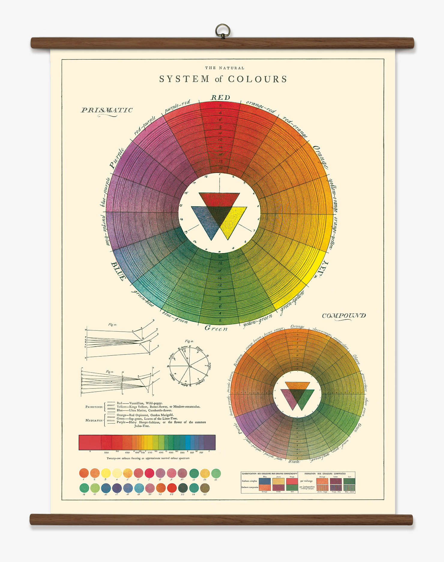 cavallini vintage school chart