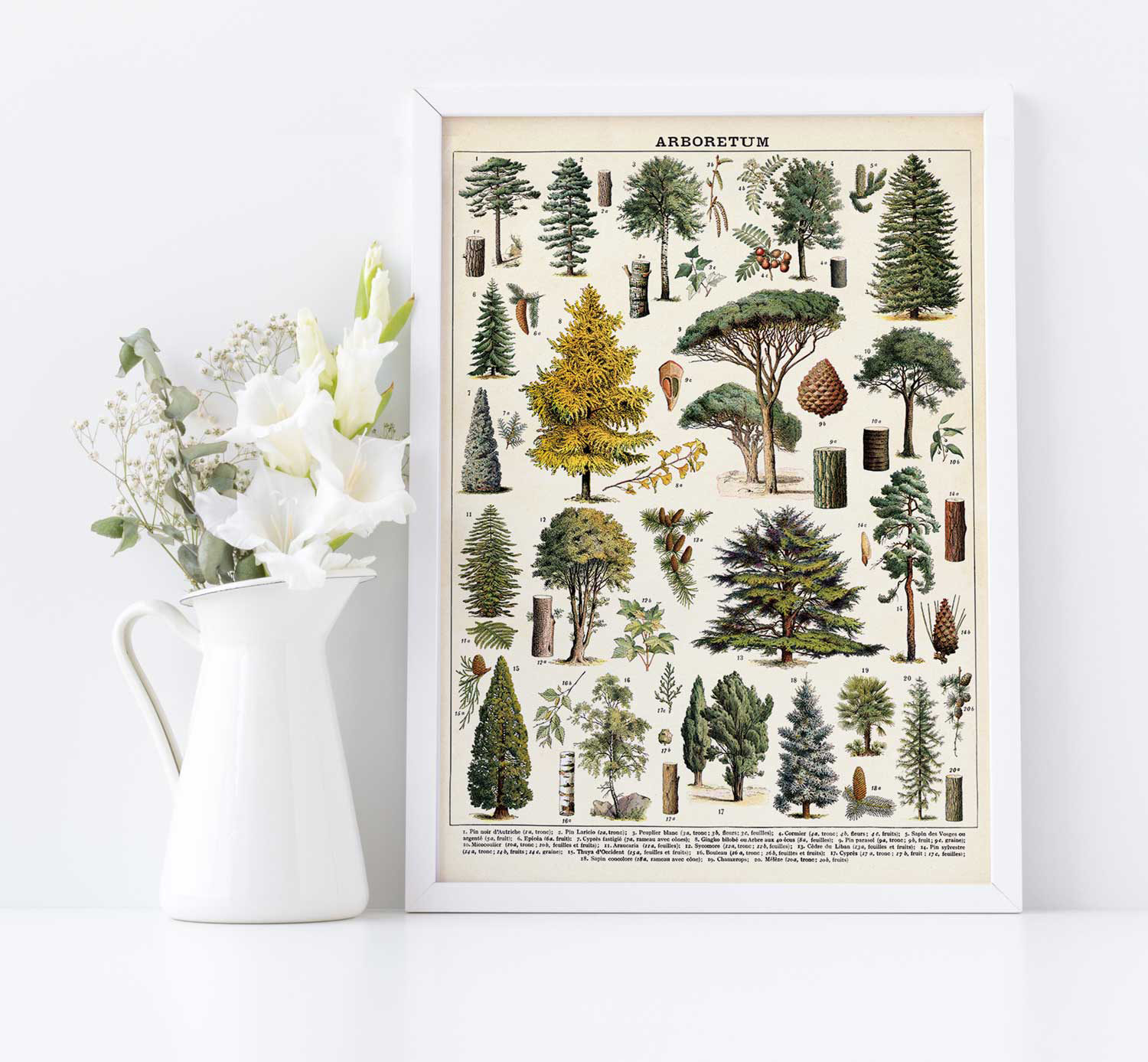 cavallini tree wrap
